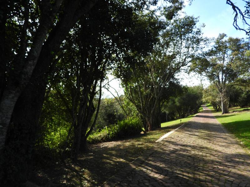 0 Bedroom Property for Sale in Wilderness Western Cape